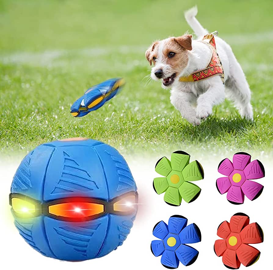 durable dog frisbee for fetch"