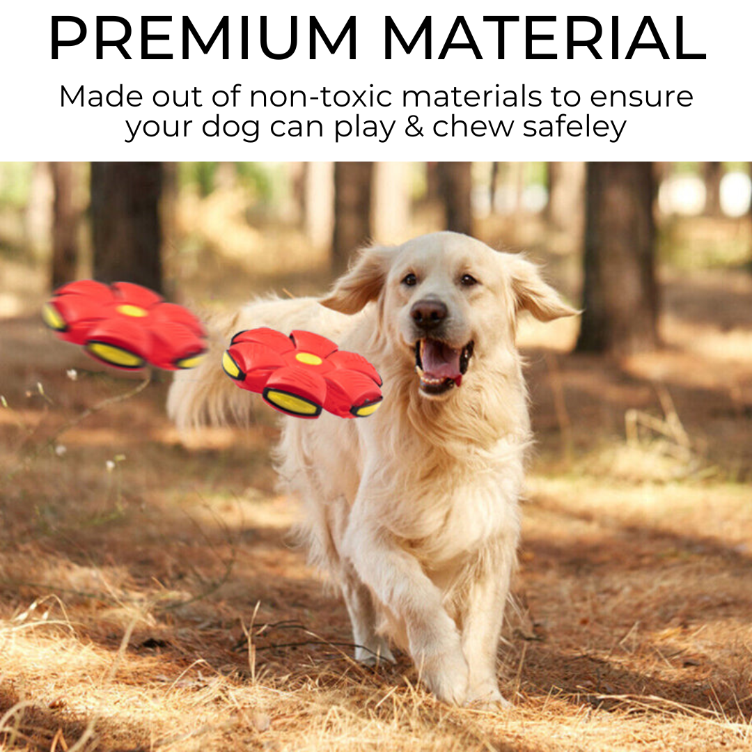 durable dog frisbee for fetch"